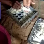 Ice Cream Candy Plant 6 Mould-3