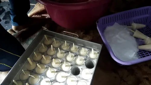 Ice Cream Candy Plant 6 Mould-5
